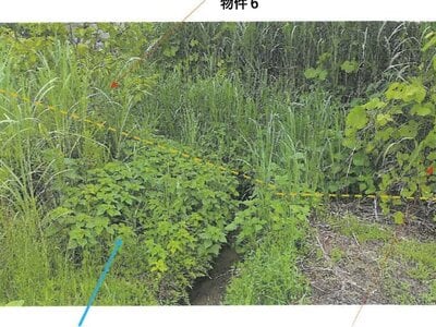 (値下げ) 大阪府交野市 交野市駅9分 農地 2,007万円の競売物件 #2