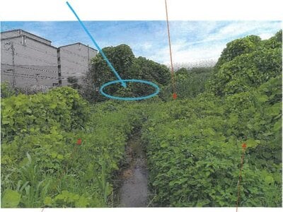 (値下げ) 大阪府交野市 交野市駅9分 農地 2,007万円の競売物件 #3