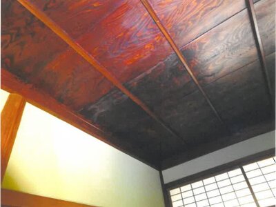 富山県魚津市 電鉄魚津駅7分 戸建て 272万円の競売物件 #15