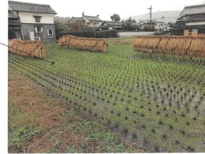 奈良県御所市 玉手駅15分 戸建て 578万円の競売物件 #3