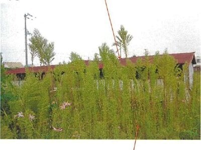 愛媛県松山市 久米駅18分 土地 1,478万円の競売物件 #14