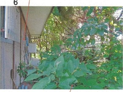 愛媛県越智郡上島町 戸建て 107万円の競売物件 #8