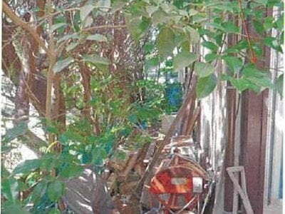 愛媛県越智郡上島町 戸建て 107万円の競売物件 #9