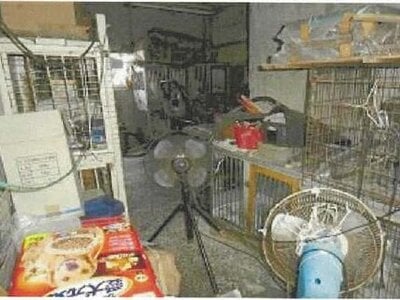 (値下げ) 愛媛県四国中央市 川之江駅25分 戸建て 223万円の競売物件 #17