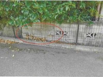 (値下げ) 愛媛県四国中央市 川之江駅25分 戸建て 223万円の競売物件 #20