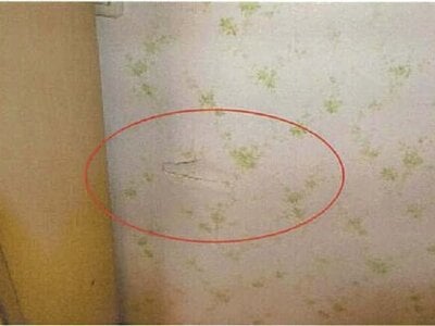 愛媛県西予市 伊予石城駅 戸建て 920万円の競売物件 #15