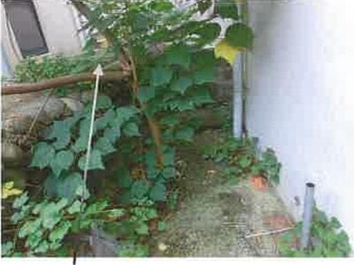 長崎県佐世保市 左石駅4分 土地 692万円の競売物件 #8