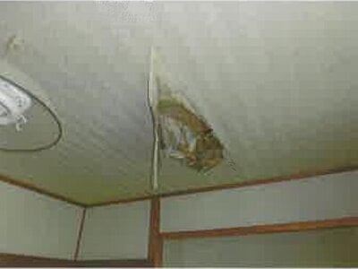 (値下げ) 長崎県佐世保市 泉福寺駅14分 戸建て 250万円の競売物件 #19