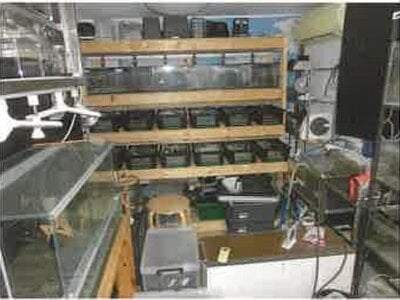 長崎県佐世保市 江迎鹿町駅4分 戸建て 530万円の競売物件 #21