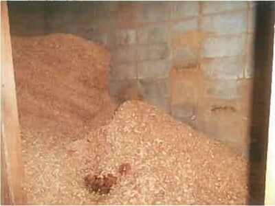 (値下げ) 熊本県葦北郡芦北町 佐敷駅11分 戸建て 1,221万円の競売物件 #16