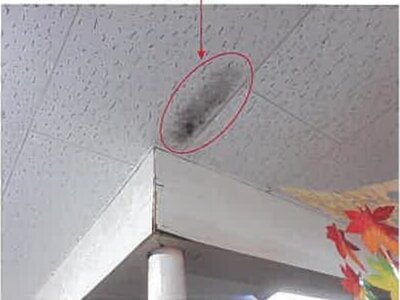 (値下げ) 熊本県葦北郡芦北町 佐敷駅11分 戸建て 1,221万円の競売物件 #38