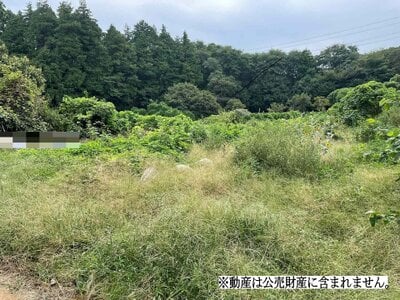 千葉県佐倉市 中学校駅9分 農地 22万円の国税庁公売物件 #2