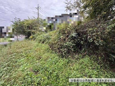 栃木県日光市 明神駅23分 土地 42万円の国税庁公売物件 #2