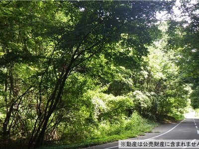 長野県佐久市 滋野駅 土地 50万円の国税庁公売物件 #2