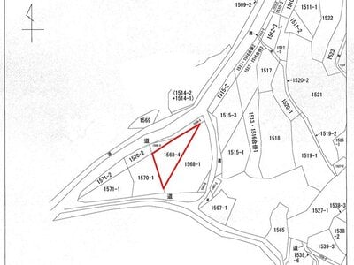 (値下げ) 千葉県南房総市 千倉駅 土地 55万円の国税庁公売物件 #2
