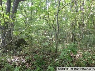 長野県佐久市 滋野駅 土地 70万円の国税庁公売物件 #2