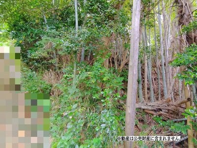 (値下げ) 神奈川県鎌倉市 富士見町駅6分 土地 110万円の国税庁公売物件 #2