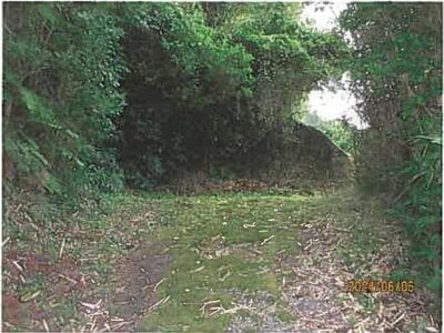 (値下げ) 静岡県伊東市 宇佐美駅6分 農地 454万円の競売物件 #6