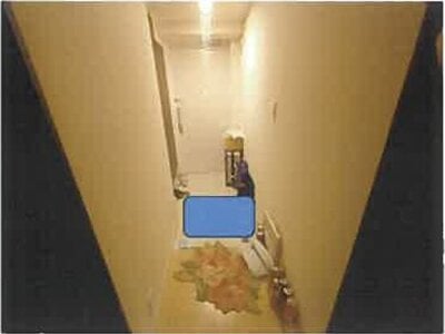 埼玉県越谷市 越谷レイクタウン駅12分 マンション「シティテラス越谷レイクタウン」2,730万円の競売物件 #11