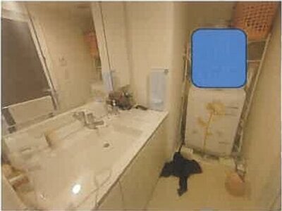 埼玉県越谷市 越谷レイクタウン駅12分 マンション「シティテラス越谷レイクタウン」2,730万円の競売物件 #5