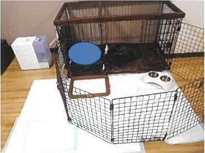 埼玉県吉川市 吉川駅15分 マンション「モアステージ吉川ライネスハイム」424万円の競売物件 #5