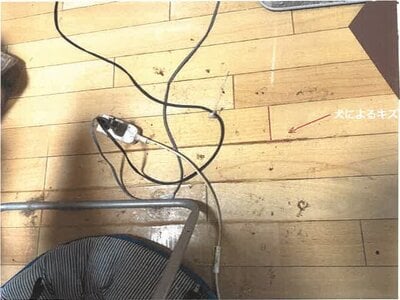 佐賀県佐賀市 佐賀駅21分 マンション「ロマネスク松原」300万円の競売物件 #8