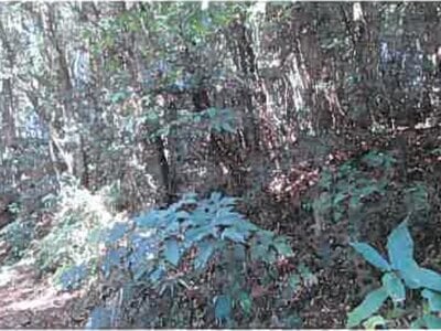 (値下げ) 熊本県宇城市 松橋駅 戸建て 318万円の競売物件 #33