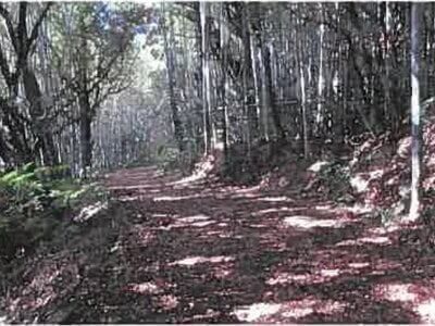 (値下げ) 熊本県宇城市 松橋駅 戸建て 318万円の競売物件 #35