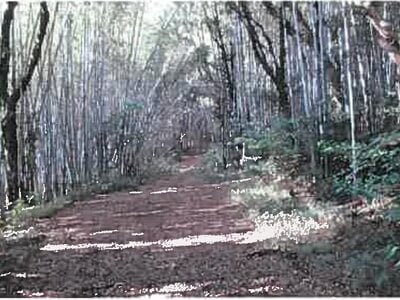 (値下げ) 熊本県宇城市 松橋駅 戸建て 318万円の競売物件 #36