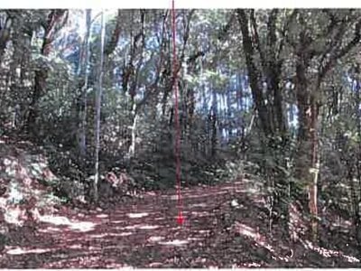 (値下げ) 熊本県宇城市 松橋駅 戸建て 318万円の競売物件 #39