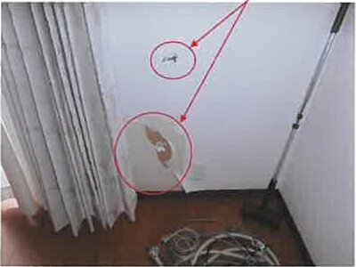 熊本県天草市 戸建て 370万円の競売物件 #11