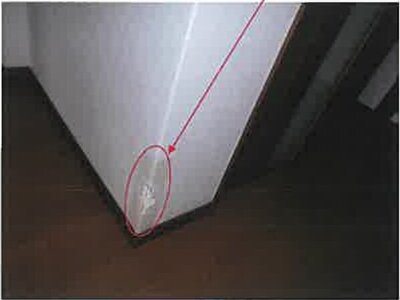 熊本県天草市 戸建て 370万円の競売物件 #12