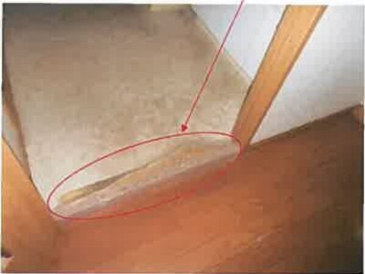 熊本県熊本市中央区 国府駅4分 マンション「シティライフ水前寺」907万円の競売物件 #10