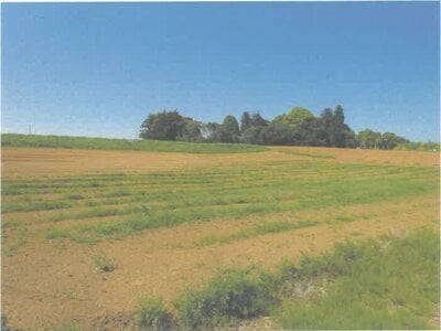 茨城県鉾田市 徳宿駅21分 農地 180万円の競売物件 #2