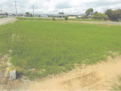 茨城県水戸市 常澄駅16分 農地 92万円の競売物件 #2