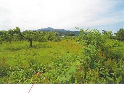 (値下げ) 青森県三戸郡南部町 諏訪ノ平駅10分 農地 53万円の競売物件 #10