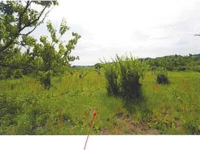 (値下げ) 青森県三戸郡南部町 諏訪ノ平駅10分 農地 53万円の競売物件 #11