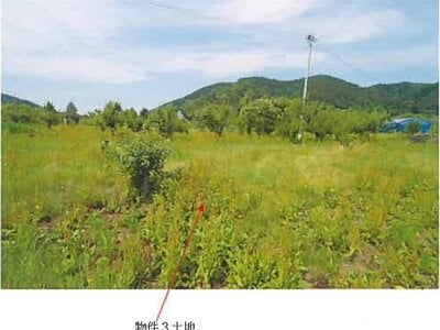 (値下げ) 青森県三戸郡南部町 諏訪ノ平駅10分 農地 53万円の競売物件 #12