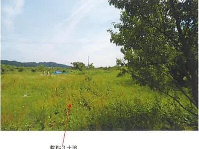 (値下げ) 青森県三戸郡南部町 諏訪ノ平駅10分 農地 53万円の競売物件 #14