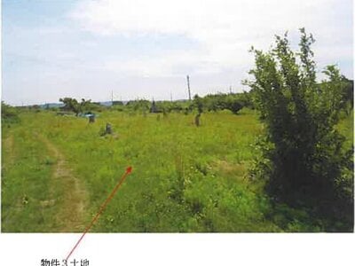 (値下げ) 青森県三戸郡南部町 諏訪ノ平駅10分 農地 53万円の競売物件 #4