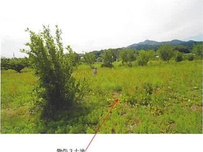 (値下げ) 青森県三戸郡南部町 諏訪ノ平駅10分 農地 53万円の競売物件 #5