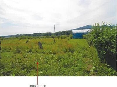 (値下げ) 青森県三戸郡南部町 諏訪ノ平駅10分 農地 53万円の競売物件 #6