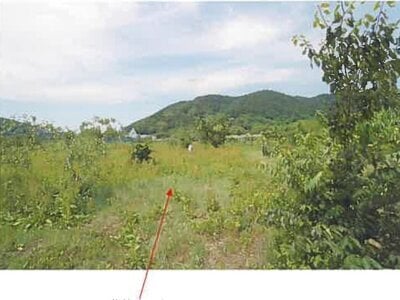 (値下げ) 青森県三戸郡南部町 諏訪ノ平駅10分 農地 53万円の競売物件 #7