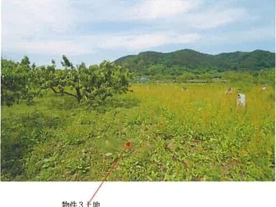 (値下げ) 青森県三戸郡南部町 諏訪ノ平駅10分 農地 53万円の競売物件 #9