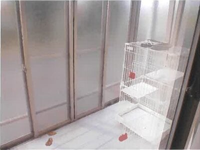 青森県八戸市 陸奥市川駅 戸建て 1,200万円の競売物件 #11