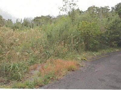 東京都大島町 土地 172万円の競売物件 #4