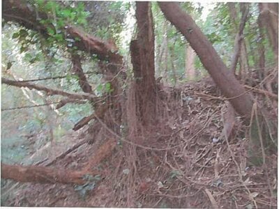 東京都大島町 土地 172万円の競売物件 #8