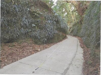 東京都大島町 土地 172万円の競売物件 #9