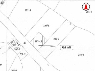 (値下げ) 新潟県長岡市 塚山駅 農地 4万円の国税庁公売物件 #2