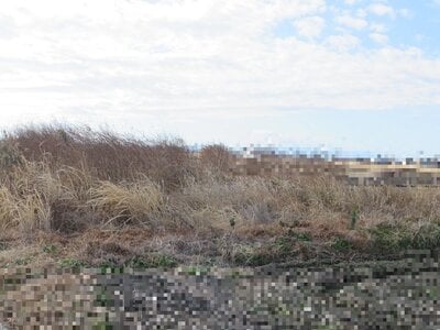 (値下げ) 埼玉県春日部市 南桜井駅23分 農地 14万円の国税庁公売物件 #2